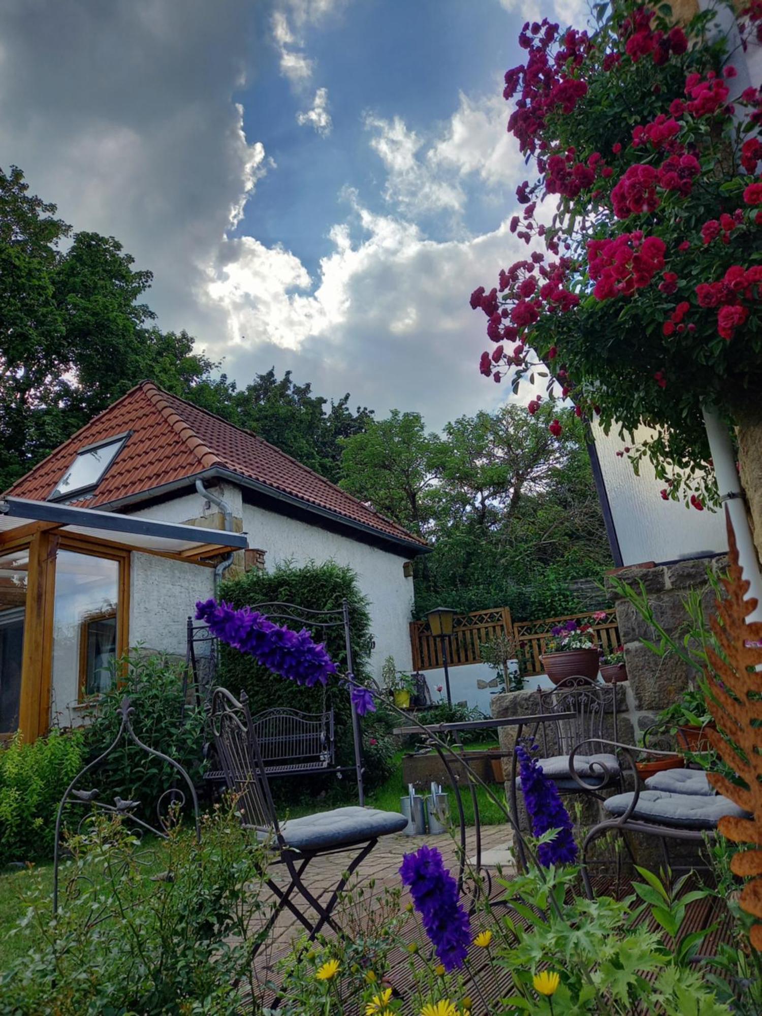 Villa Elfenhaeuschen Mit 3 Dtv Sternen Ausgezeichnet à Bad Harzburg Extérieur photo
