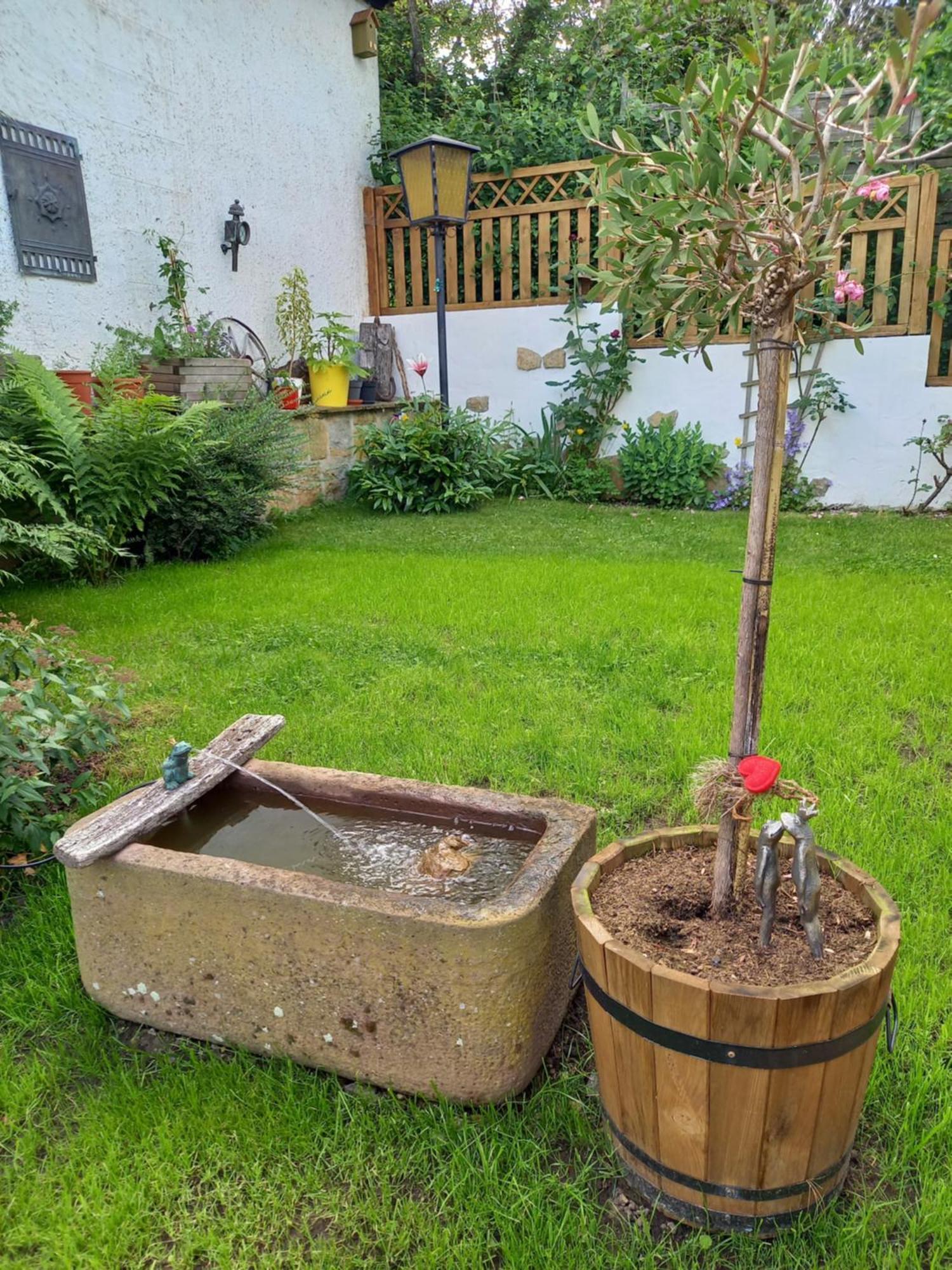 Villa Elfenhaeuschen Mit 3 Dtv Sternen Ausgezeichnet à Bad Harzburg Extérieur photo