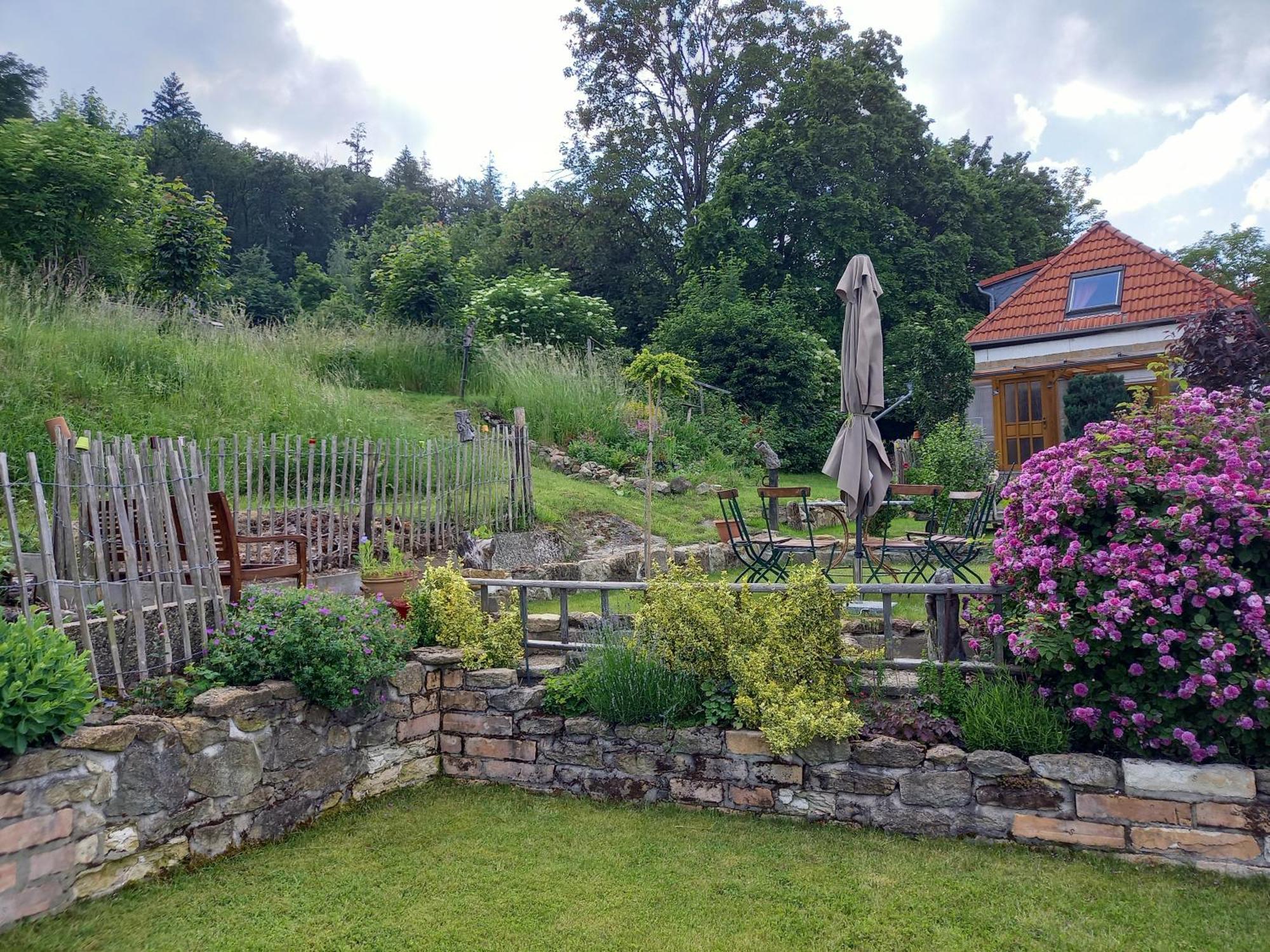 Villa Elfenhaeuschen Mit 3 Dtv Sternen Ausgezeichnet à Bad Harzburg Extérieur photo