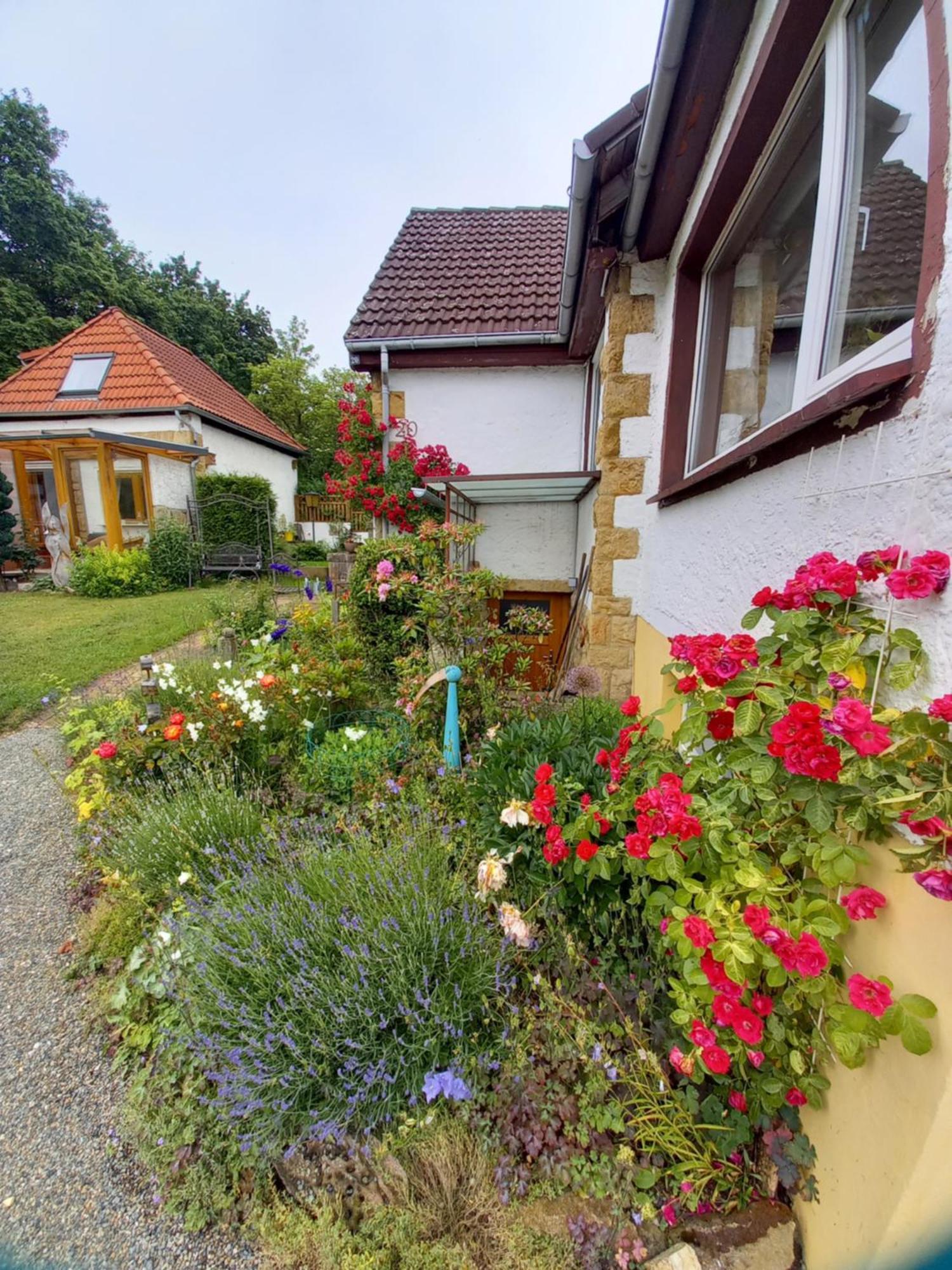 Villa Elfenhaeuschen Mit 3 Dtv Sternen Ausgezeichnet à Bad Harzburg Extérieur photo